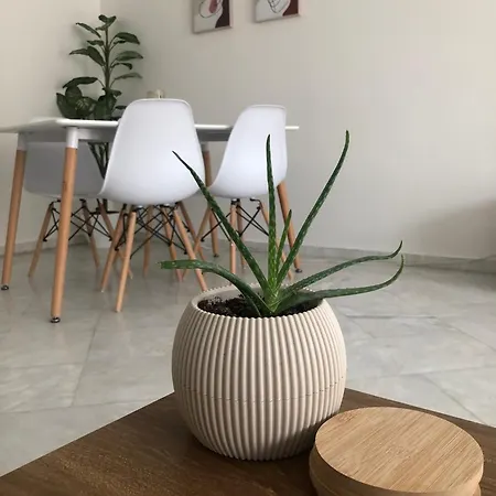 Family House *